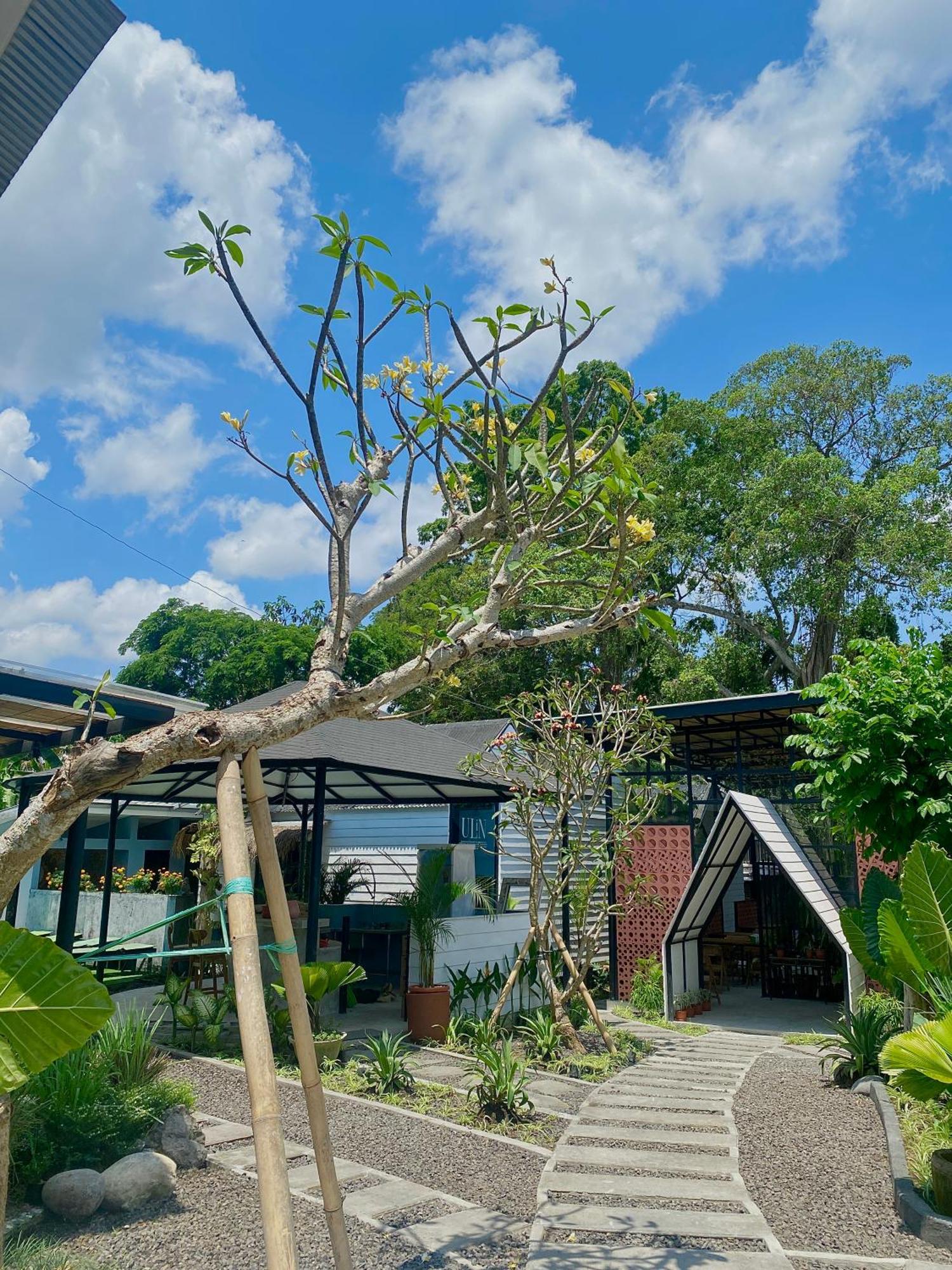The Jungle Hostel Canggu Dış mekan fotoğraf