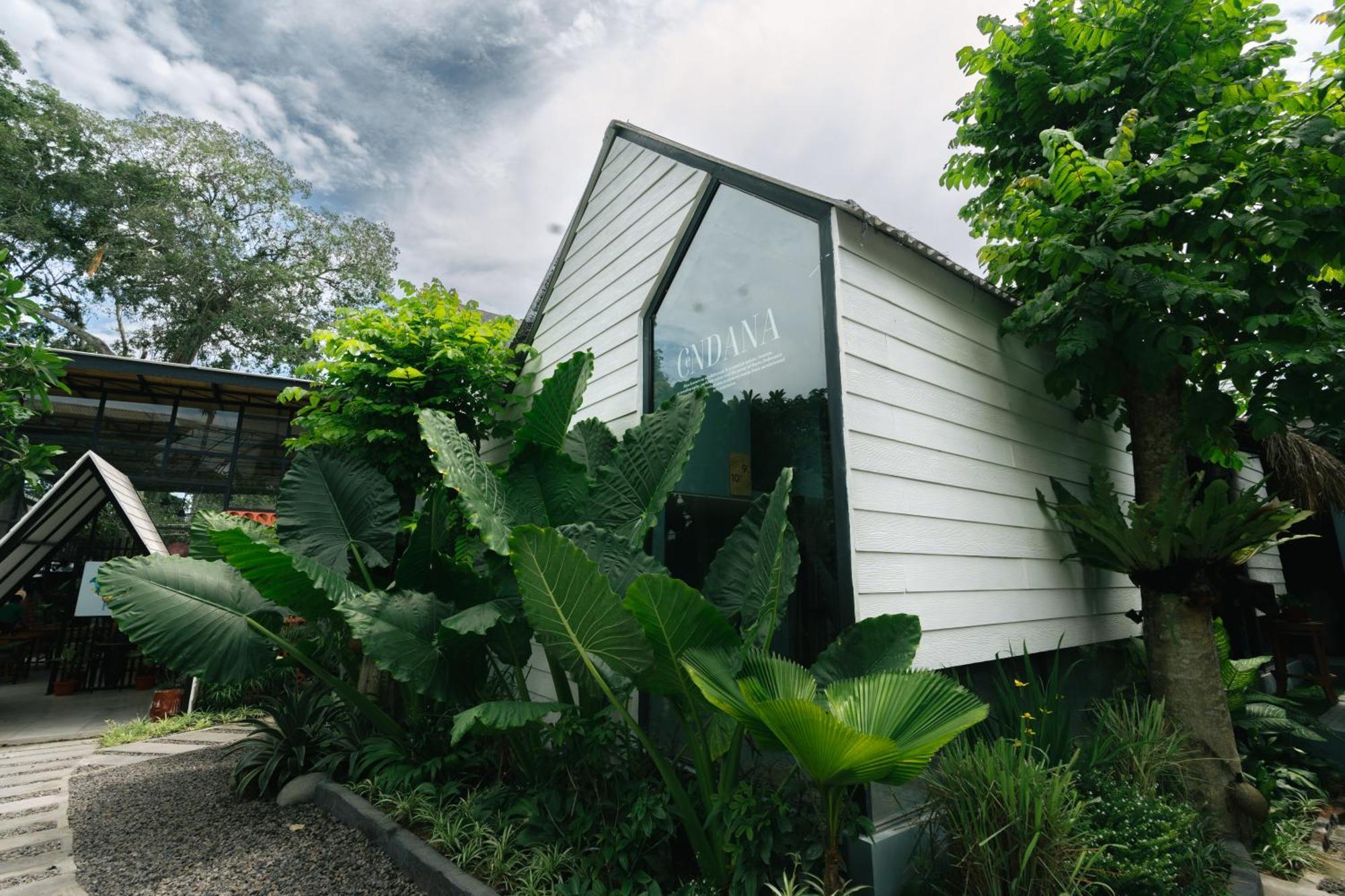 The Jungle Hostel Canggu Dış mekan fotoğraf