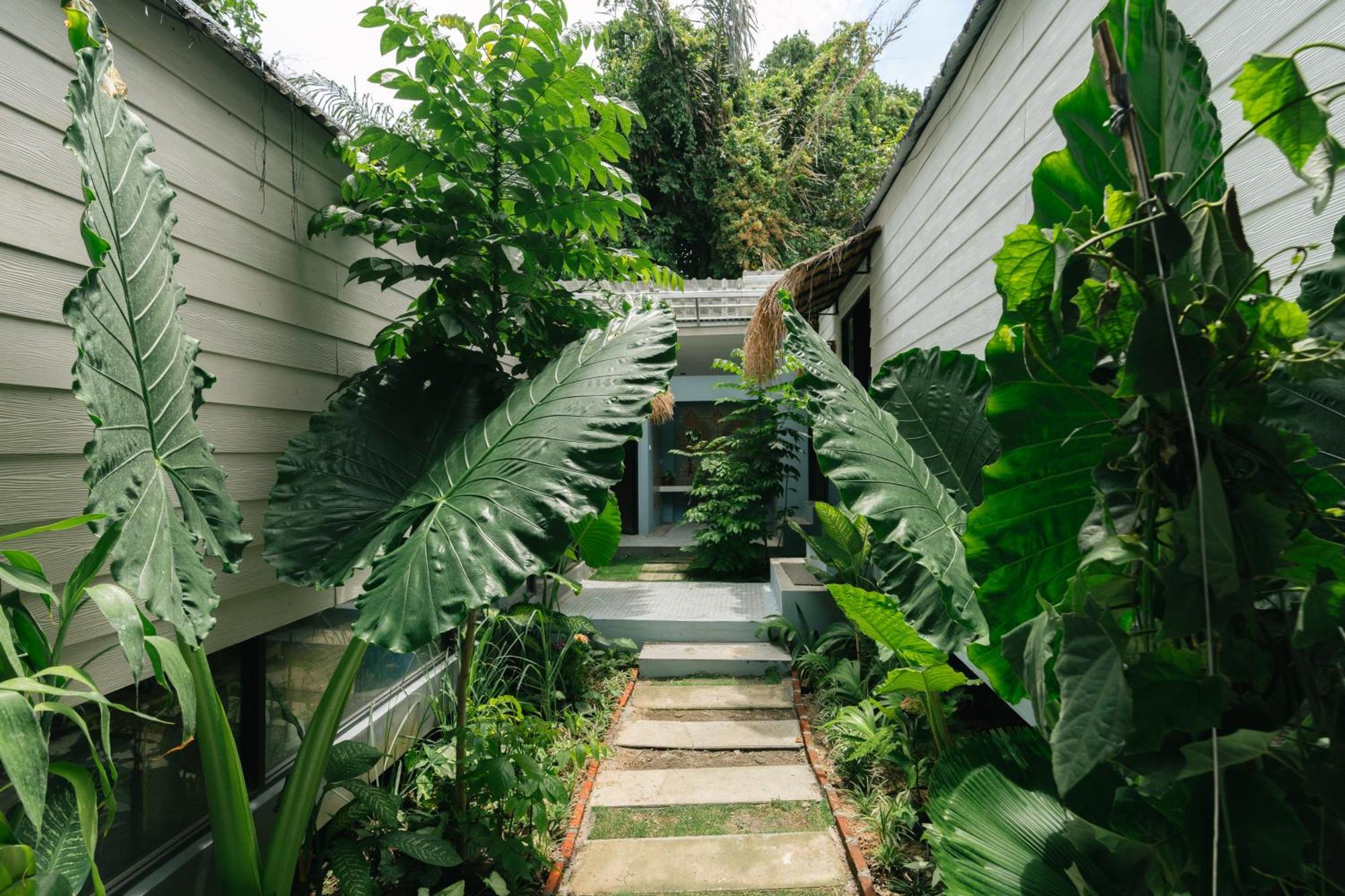 The Jungle Hostel Canggu Dış mekan fotoğraf