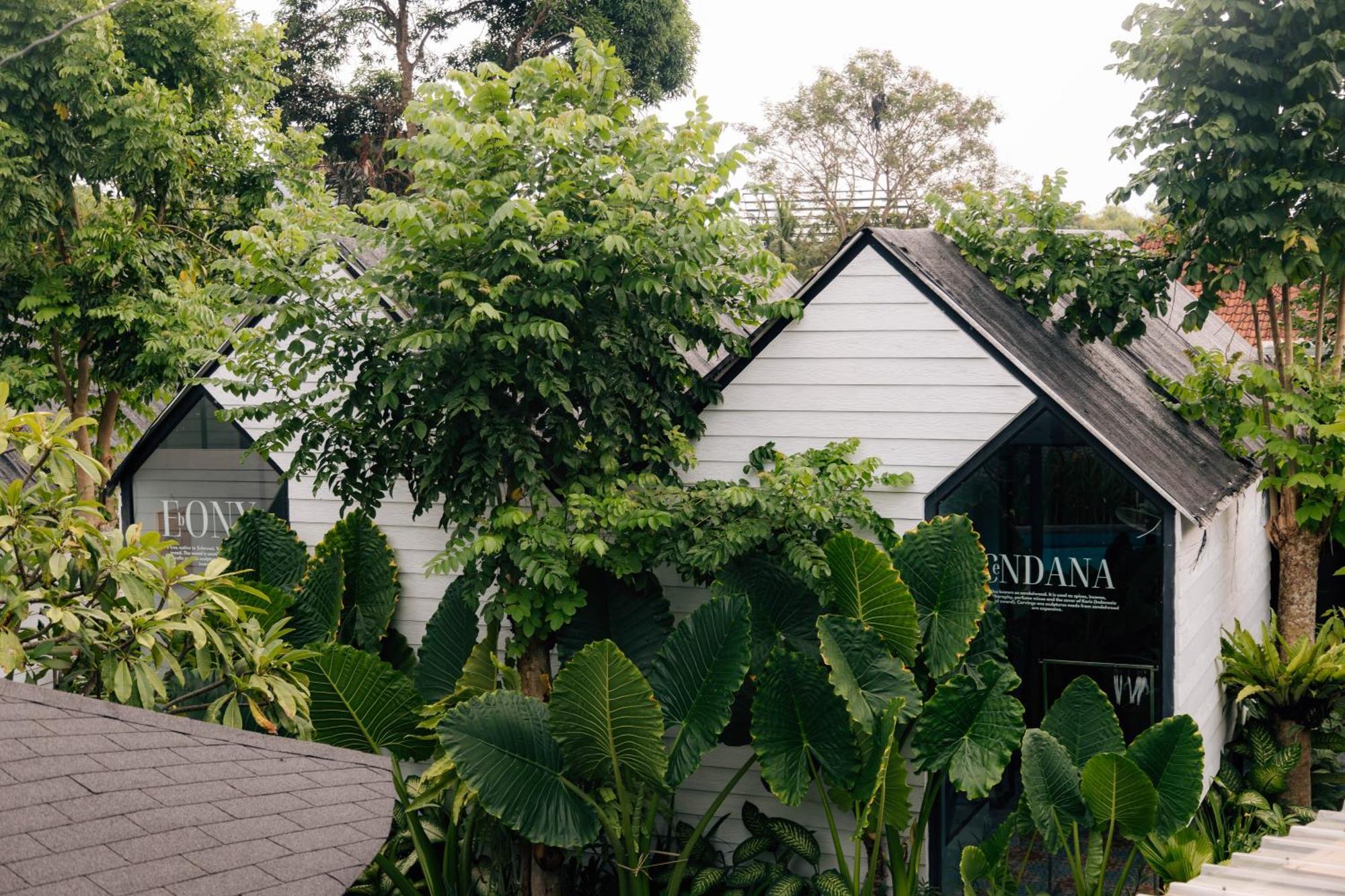 The Jungle Hostel Canggu Dış mekan fotoğraf